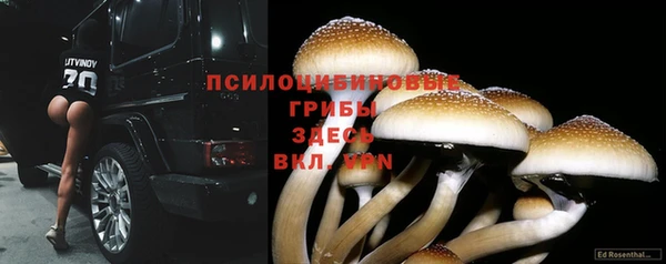 твердый Арсеньев