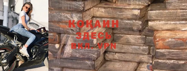 твердый Арсеньев