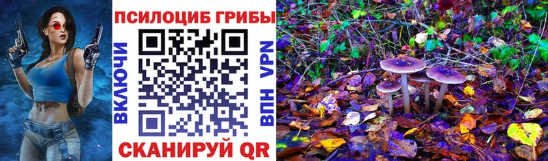 Галлюциногенные грибы Psilocybe  darknet наркотические препараты  Светлоград  даркнет сайт 