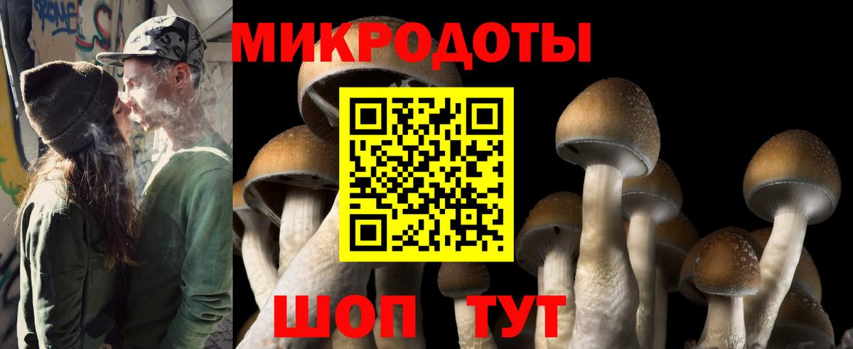 Псилоцибиновые грибы прущие грибы  Псилоцибиновые грибы ЛСД  Светлоград  Вход с VPN 